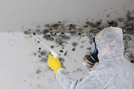 Best Mold Removal for HVAC Installations  in Ecorse, MI